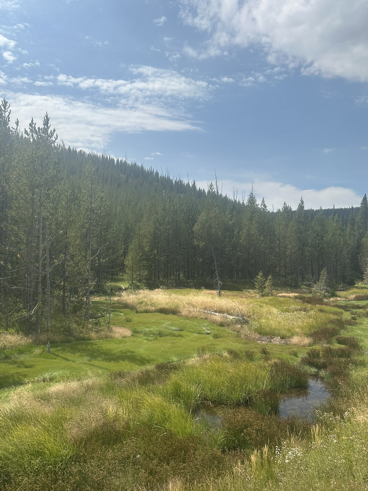 Yellowstone And Grand Teton National Parks - Image 696